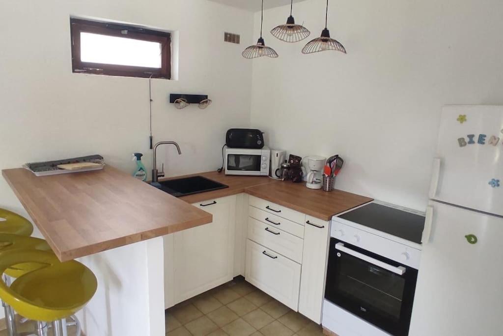 Appartement Au Fond Du Jardin Saint Jean du Pin 외부 사진